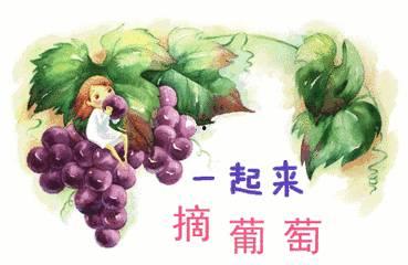 吃瓜娱乐背景板图片高清,揭秘娱乐圈幕后风云