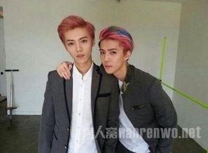 天涯爆料鹿晗吴世勋视频,幕后真相曝光  第2张