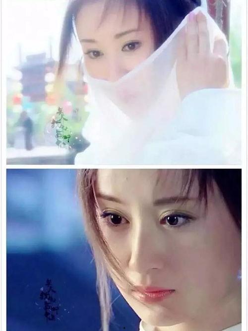 舒畅爆料了什么节目视频,揭秘幕后精彩瞬间  第3张